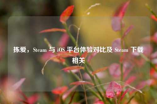 拣爱，Steam 与 iOS 平台体验对比及 Steam 下载相关
