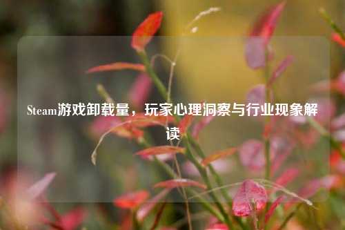 Steam游戏卸载量,玩家心理洞察与行业现象解读