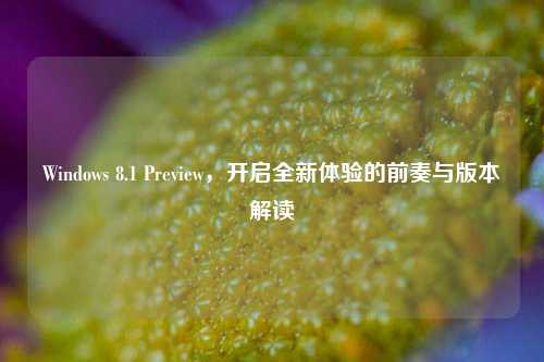Windows 8.1 Preview,开启全新体验的前奏与版本解读