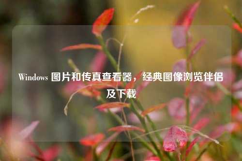 Windows 图片和传真查看器,经典图像浏览伴侣及下载
