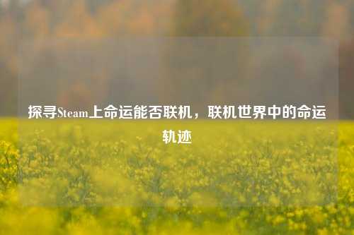 探寻Steam上命运能否联机,联机世界中的命运轨迹