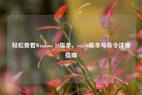 轻松查看Windows 10版本，win10版本号命令详细指南