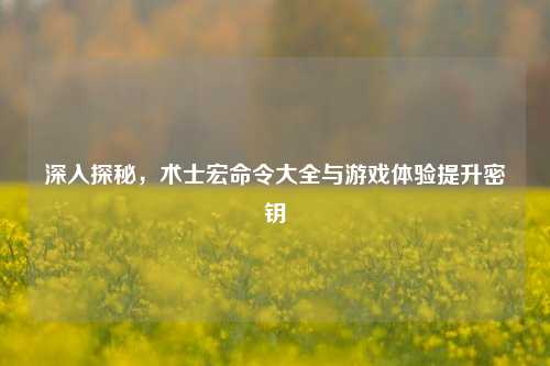 深入探秘，术士宏命令大全与游戏体验提升密钥