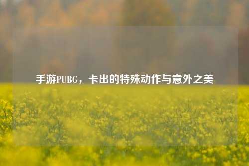 手游PUBG,卡出的特殊动作与意外之美