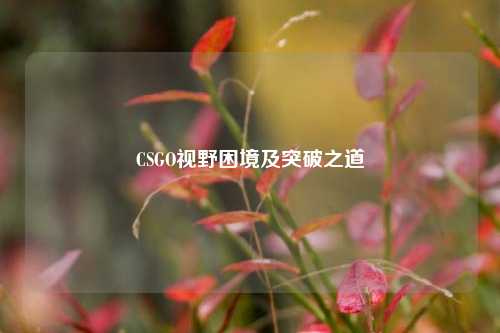 CSGO视野困境及突破之道