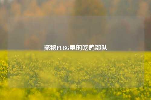 探秘PUBG里的吃鸡部队