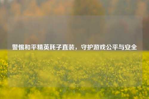 警惕和平精英耗子直装,守护游戏公平与安全