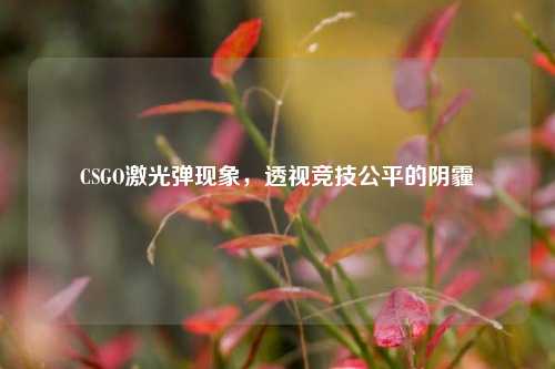 CSGO激光弹现象,透视竞技公平的阴霾