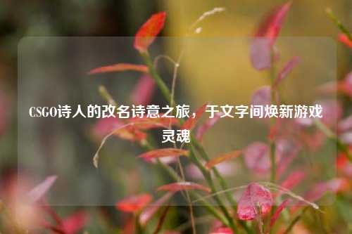 CSGO诗人的改名诗意之旅,于文字间焕新游戏灵魂