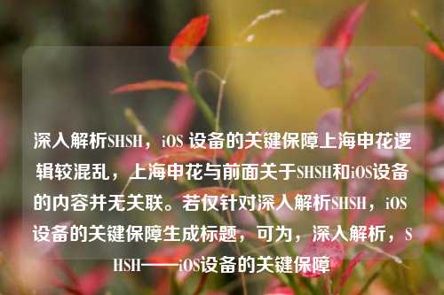 深入解析SHSH，iOS 设备的关键保障上海申花逻辑较混乱，上海申花与前面关于SHSH和iOS设备的内容并无关联。若仅针对深入解析SHSH，iOS 设备的关键保障生成标题，可为，深入解析，SHSH——iOS设备的关键保障