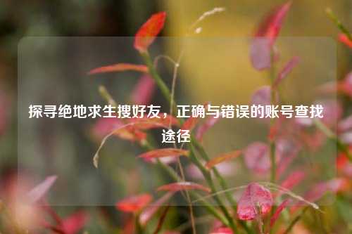 探寻绝地求生搜好友,正确与错误的账号查找途径