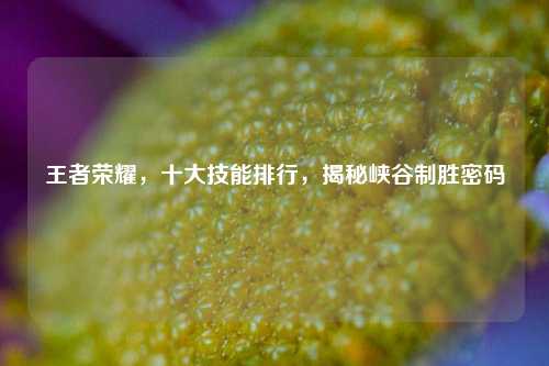 王者荣耀,十大技能排行,揭秘峡谷制胜密码