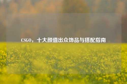 CSGO，十大颜值出众饰品与搭配指南