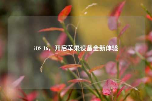 iOS 16,开启苹果设备全新体验