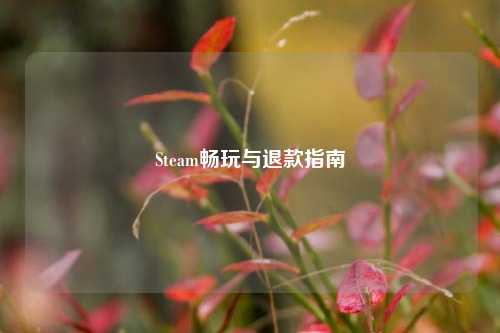 Steam畅玩与退款指南