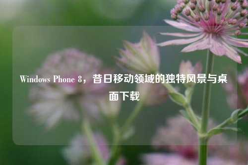 Windows Phone 8,昔日移动领域的独特风景与桌面下载