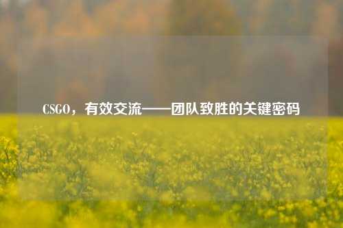CSGO，有效交流——团队致胜的关键密码