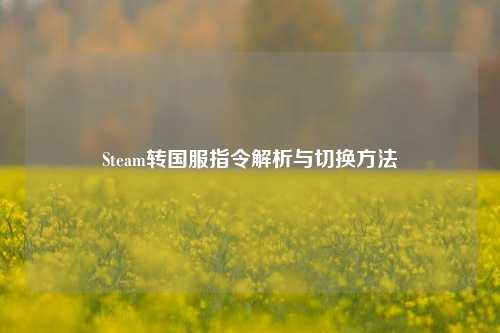 Steam转国服指令解析与切换方法