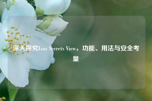 深入探究Lsas Secrets View,功能、用法与安全考量