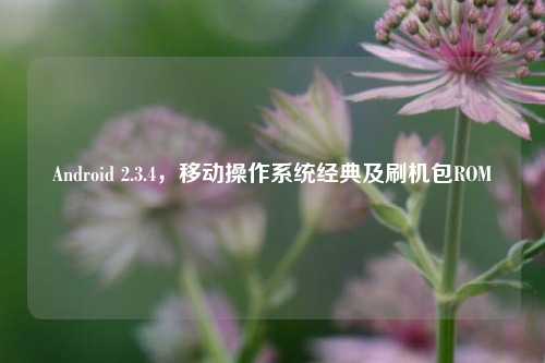 Android 2.3.4,移动操作系统经典及刷机包ROM