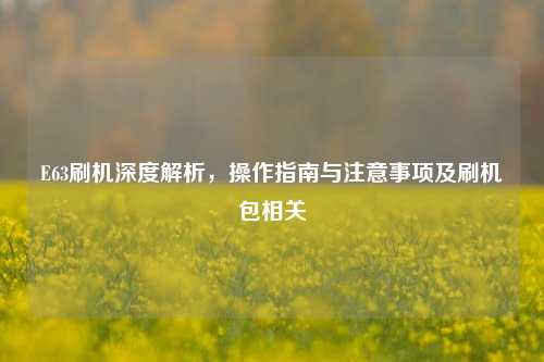 E63刷机深度解析,操作指南与注意事项及刷机包相关