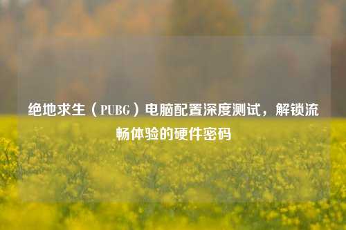 绝地求生(PUBG)电脑配置深度测试,解锁流畅体验的硬件密码