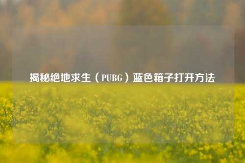 揭秘绝地求生(PUBG)蓝色箱子打开方法