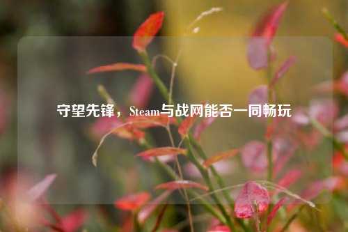 守望先锋，Steam与战网能否一同畅玩