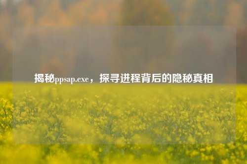 揭秘ppsap.exe,探寻进程背后的隐秘真相
