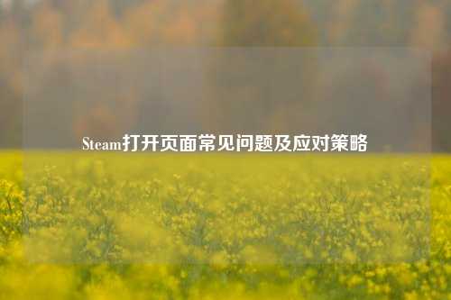 Steam打开页面常见问题及应对策略