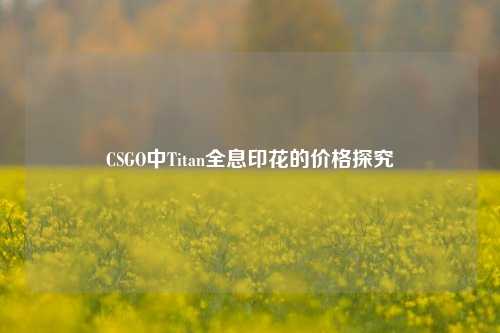 CSGO中Titan全息印花的价格探究