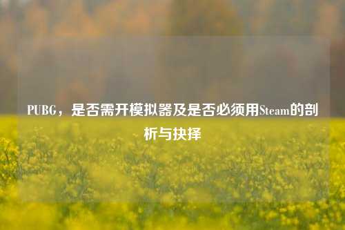 PUBG，是否需开模拟器及是否必须用Steam的剖析与抉择