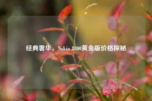 经典奢华,Nokia 8800黄金版价格探秘