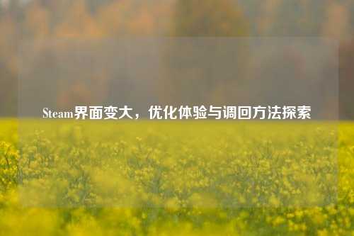Steam界面变大,优化体验与调回方法探索