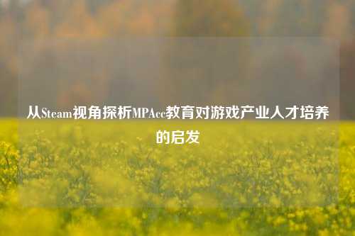 从Steam视角探析MPAcc教育对游戏产业人才培养的启发