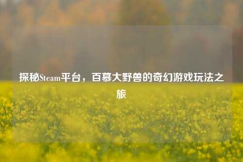 探秘Steam平台,百慕大野兽的奇幻游戏玩法之旅