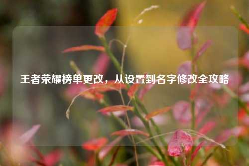 王者荣耀榜单更改,从设置到名字修改全攻略