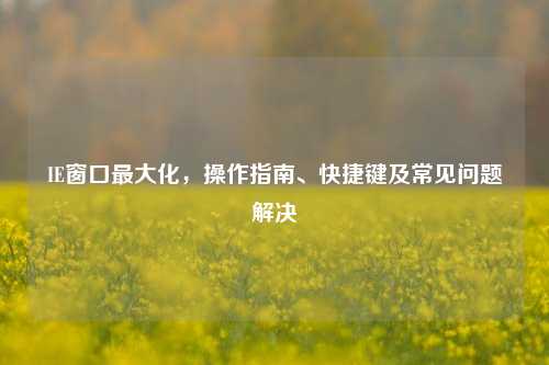 IE窗口最大化,操作指南、快捷键及常见问题解决