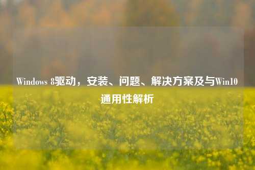 Windows 8驱动,安装、问题、解决方案及与Win10通用性解析