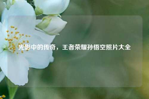 光影中的传奇,王者荣耀孙悟空照片大全