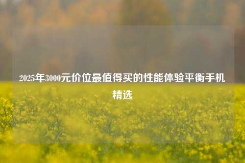 2025年3000元价位最值得买的性能体验平衡手机精选