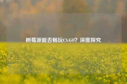 树莓派能否畅玩CS:GO?深度探究