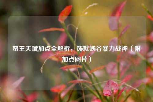 蛮王天赋加点全解析,铸就峡谷暴力战神(附加点图片)