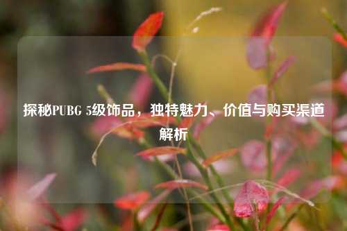 探秘PUBG 5级饰品，独特魅力、价值与购买渠道解析