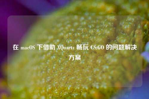 在 macOS 下借助 XQuartz 畅玩 CS:GO 的问题解决方案