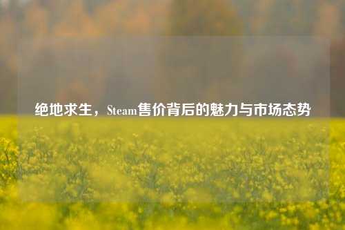 绝地求生,Steam售价背后的魅力与市场态势
