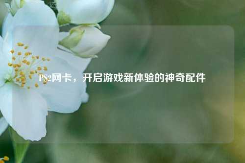 PS2网卡,开启游戏新体验的神奇配件