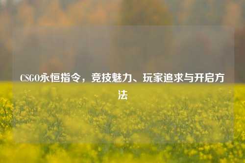 CSGO永恒指令，竞技魅力、玩家追求与开启方法