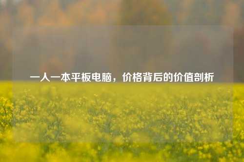 一人一本平板电脑,价格背后的价值剖析