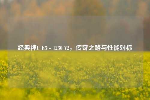 经典神U E3 - 1230 V2,传奇之路与性能对标